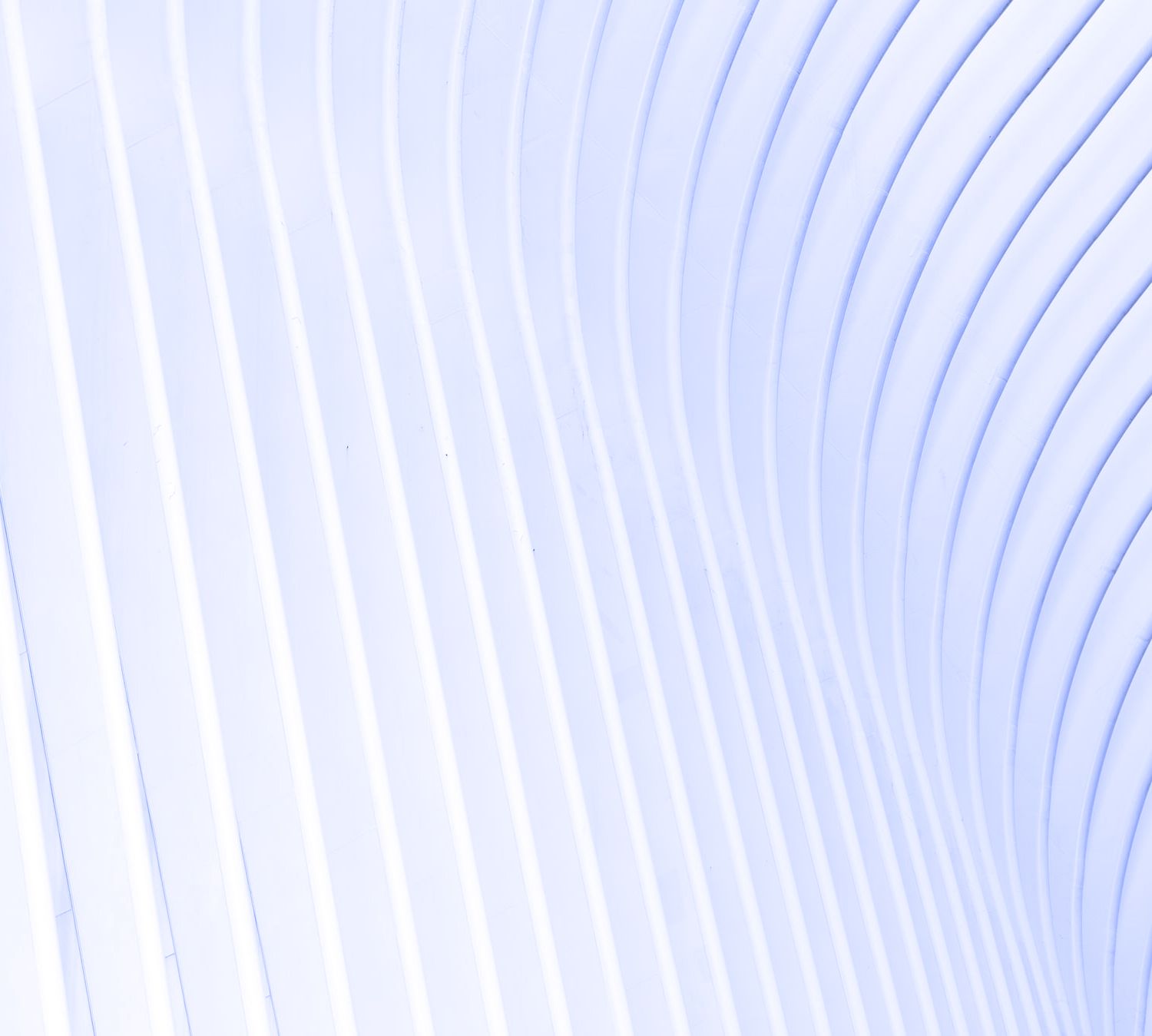 Damus Capital Support Services image